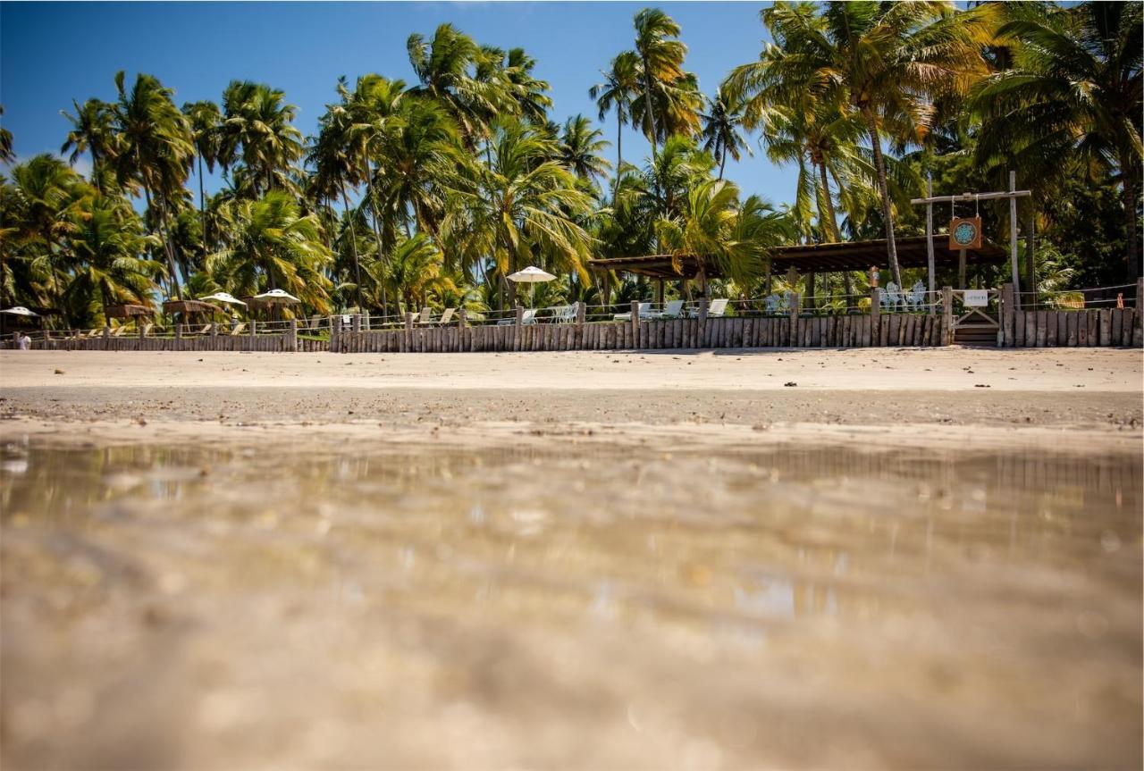 Pousada Paraiso Carneiros Hotell Praia dos Carneiros Eksteriør bilde